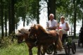 /album/menrit-04-06-2011/a06-04-2011-34-jpg/
